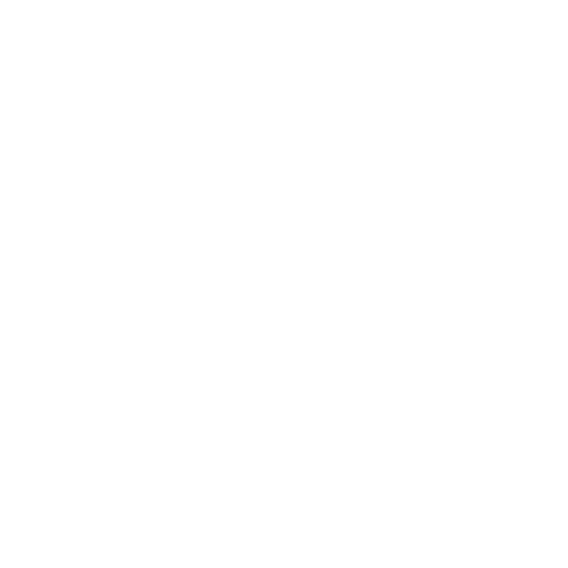 NoMistake Logo